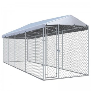 Chain Link Dog Kennel