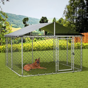 Chain Link Dog Kennel