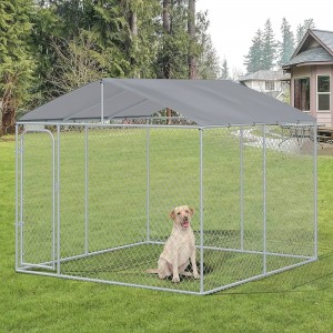 Chain Link Dog Kennel