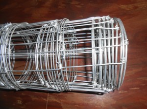 Grassland Field Fence