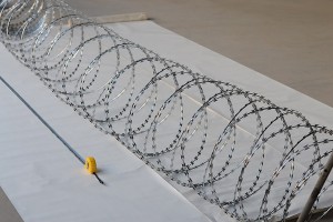Best Price for China Hot Sale Razor Barbed Wire for Airport Prison Security Fence